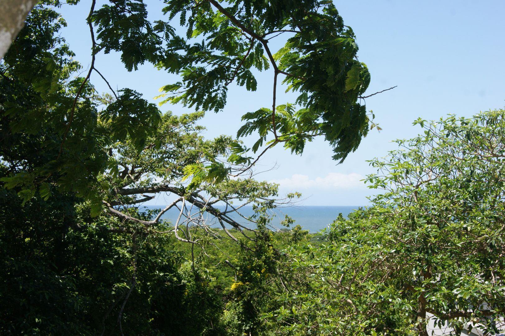 Prince's Grant Golf Estate Property Property and houses for sale in Prince's Grant Golf Estate