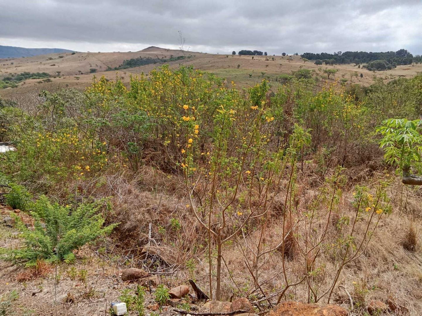 Vacant land / plots for sale in Newcastle Newcastle Property