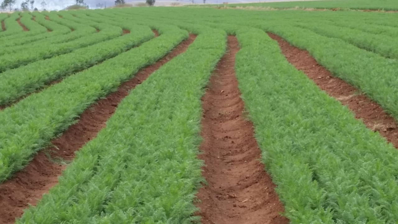 Farm for sale in Vryheid Rural P24113571954