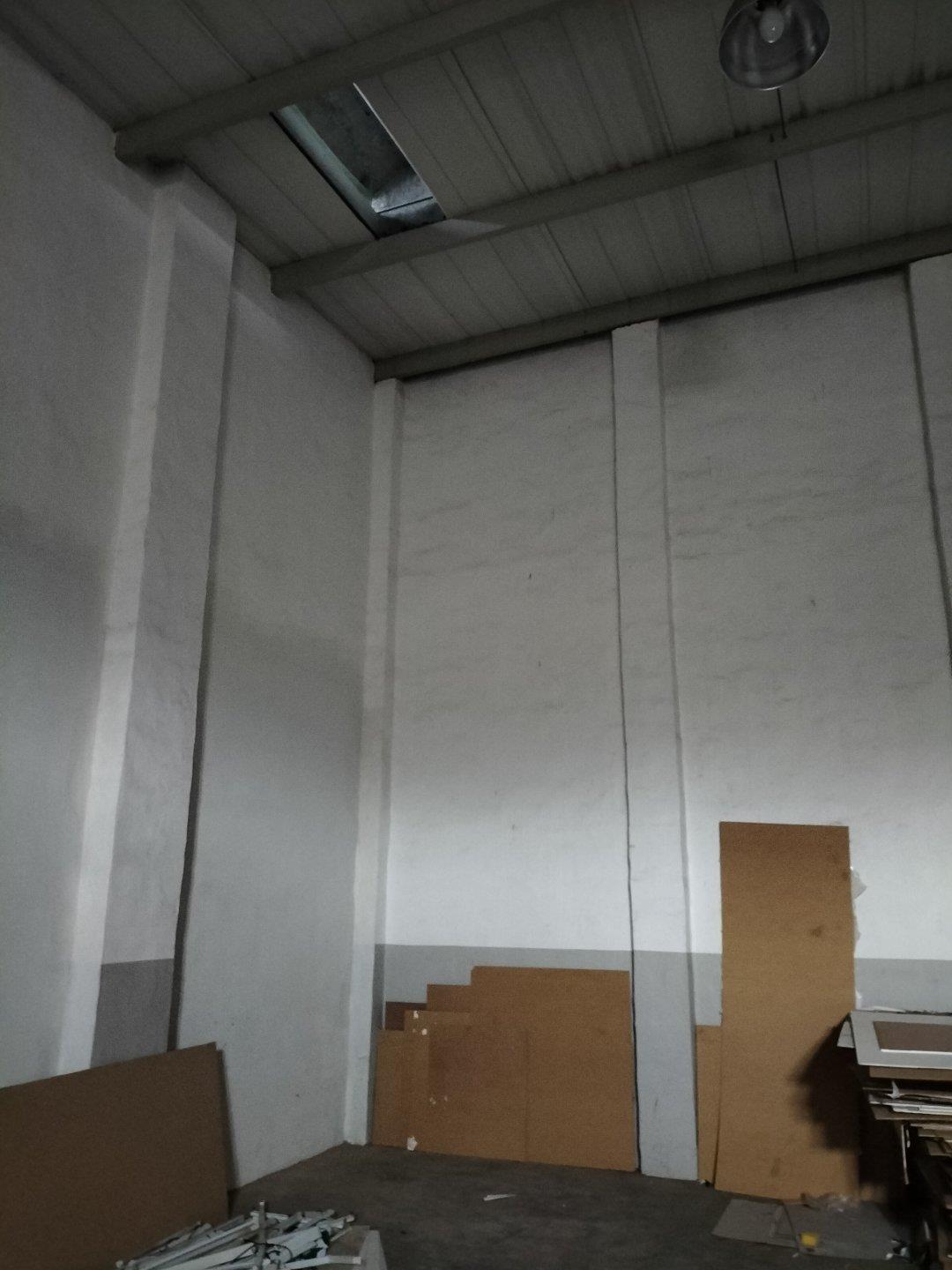 Springfield, Durban Property Property and houses to rent in