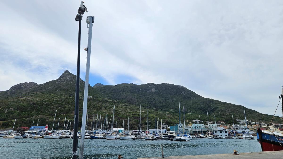 Hout Bay Harbour Property Property and houses for sale in Hout Bay