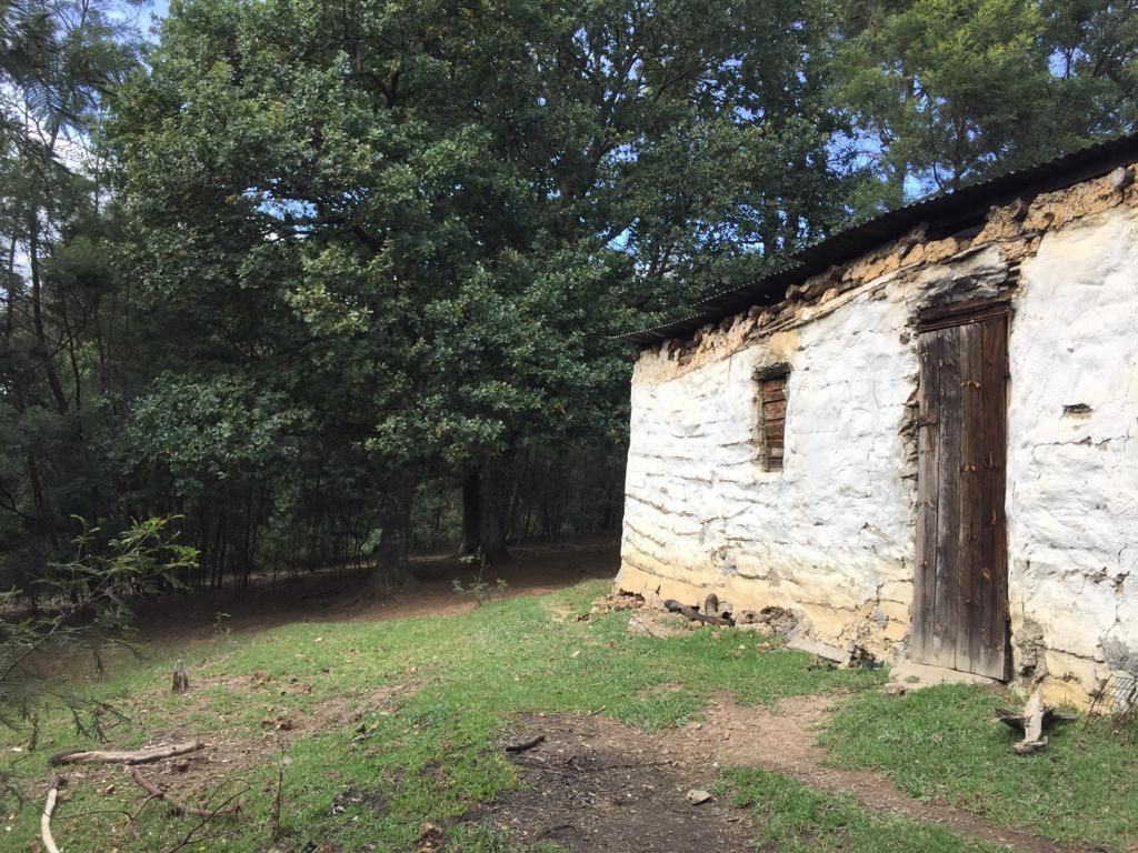 Property and houses for sale in Hogsback Hogsback Property