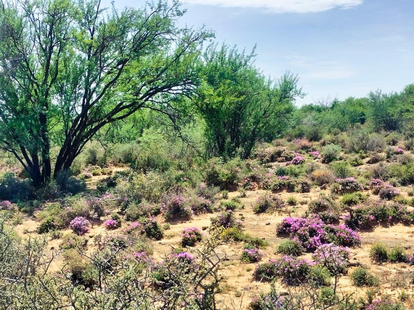 Farm for sale in Prince Albert Rural P24106239550