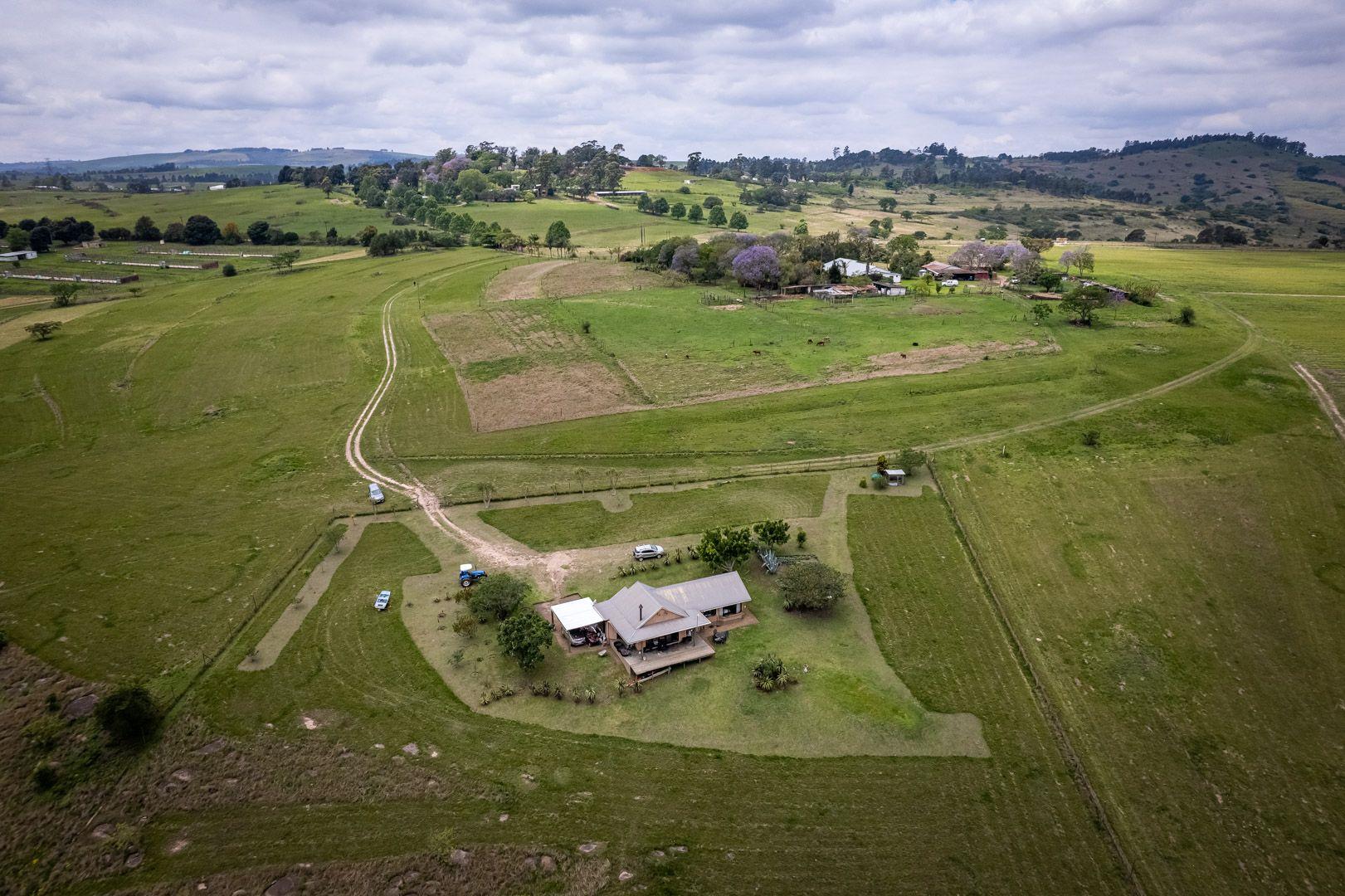 4 Bedroom House for sale in Camperdown 40 Honig Krantz P24113586223