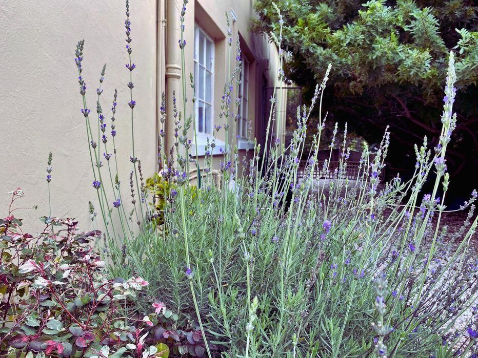 Rawsonville Property Property and houses to rent in Rawsonville