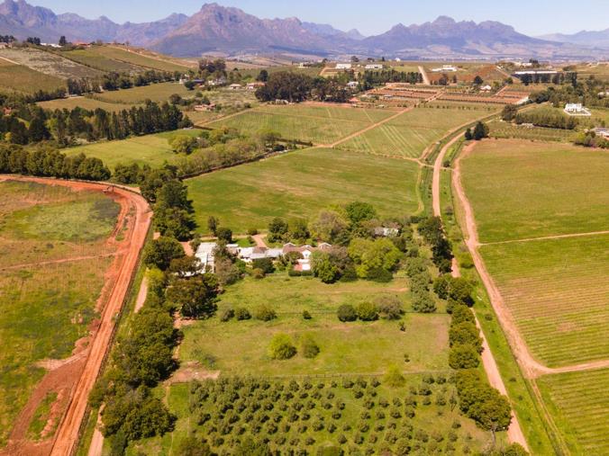 Farm for Sale in Stellenbosch Farms