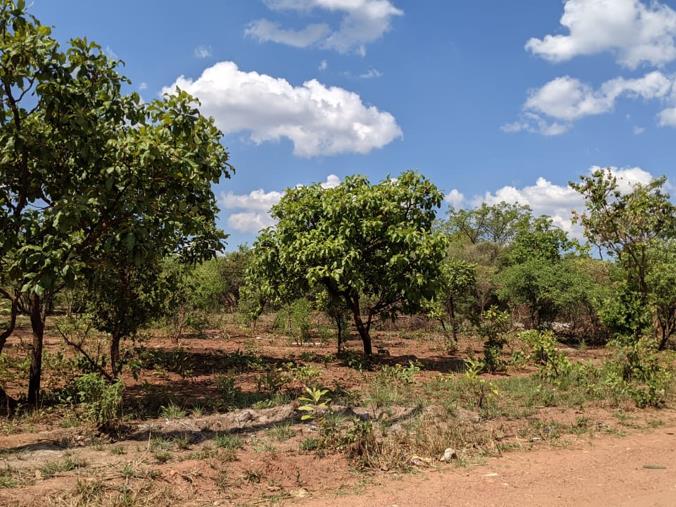 Vacant Land / Plot for Sale in Leopards Hill