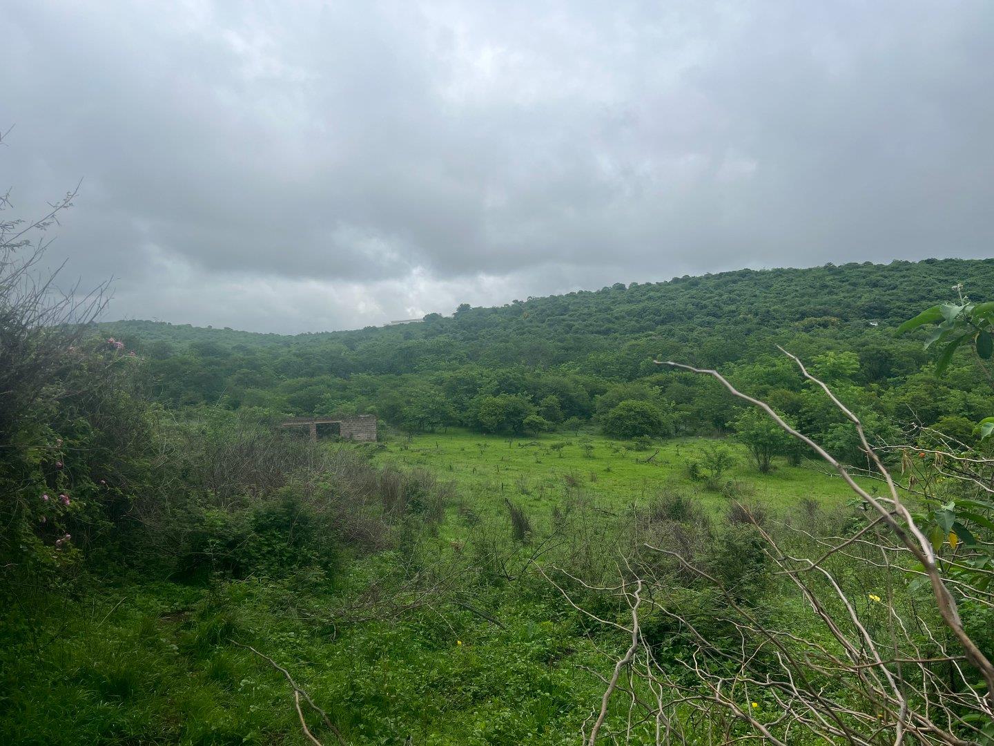 Vacant land / plot for sale in Ashburton P24111261881