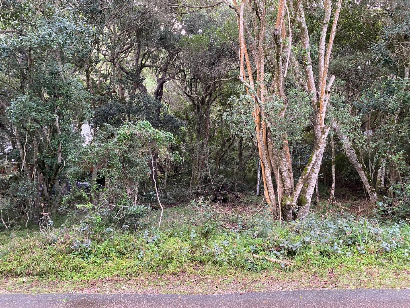 Natures Valley, Plettenberg Bay Property Property and houses for sale