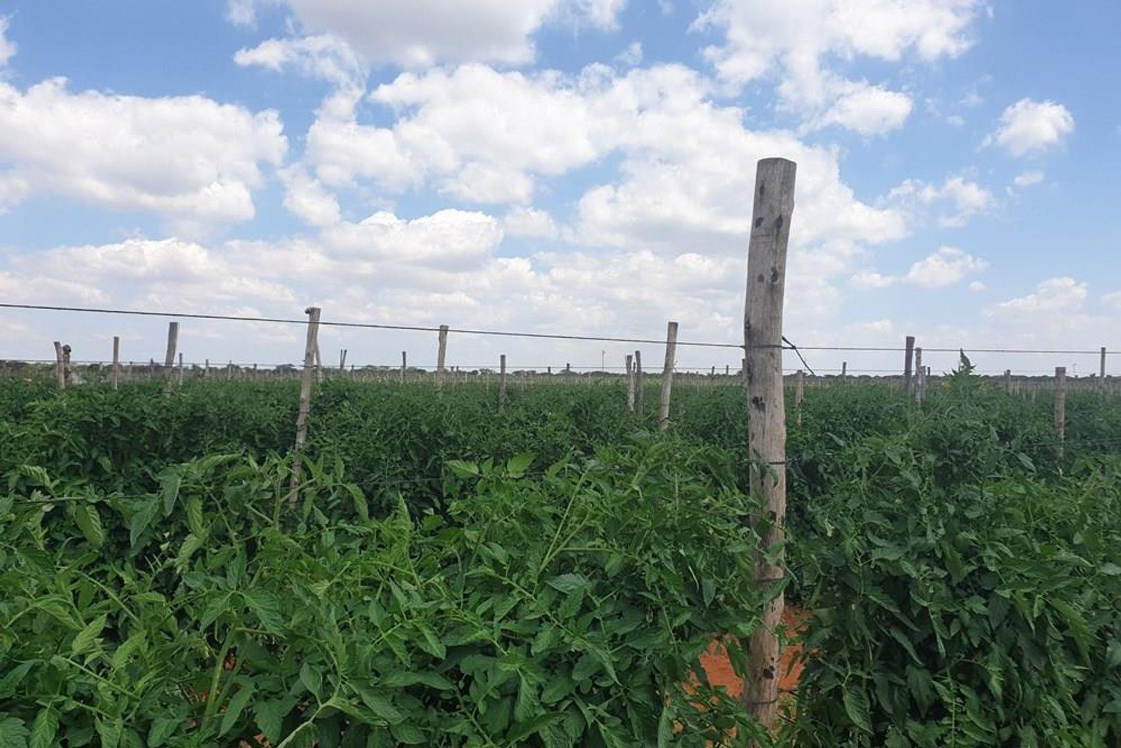 Farms for sale in Dendron Dendron Property