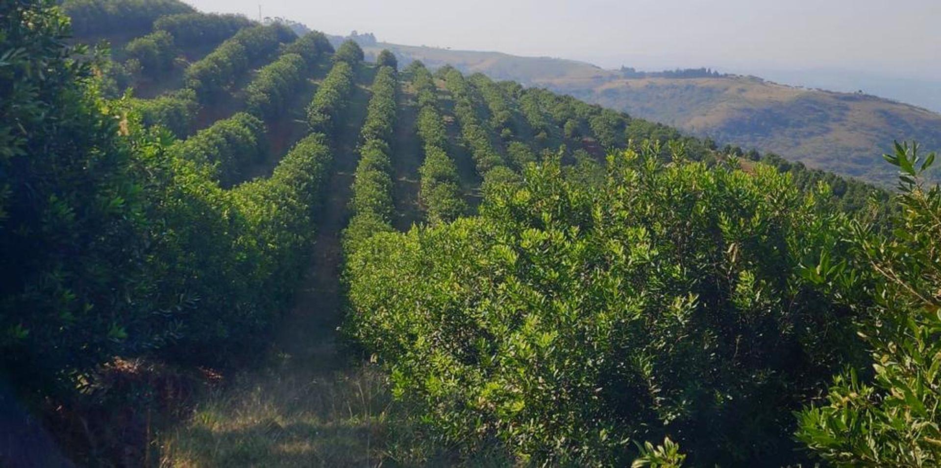 Farm for sale in Mount Verde P24113651605