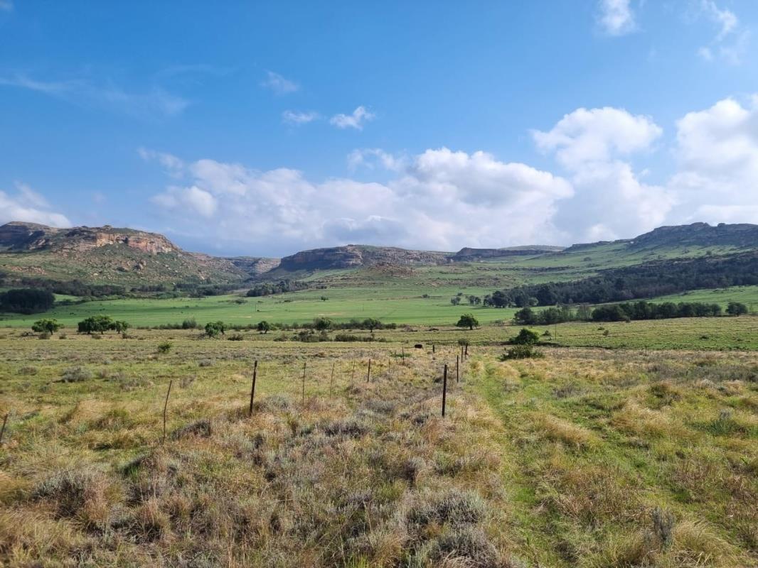 Farm for sale in Bethlehem Central P24113654811