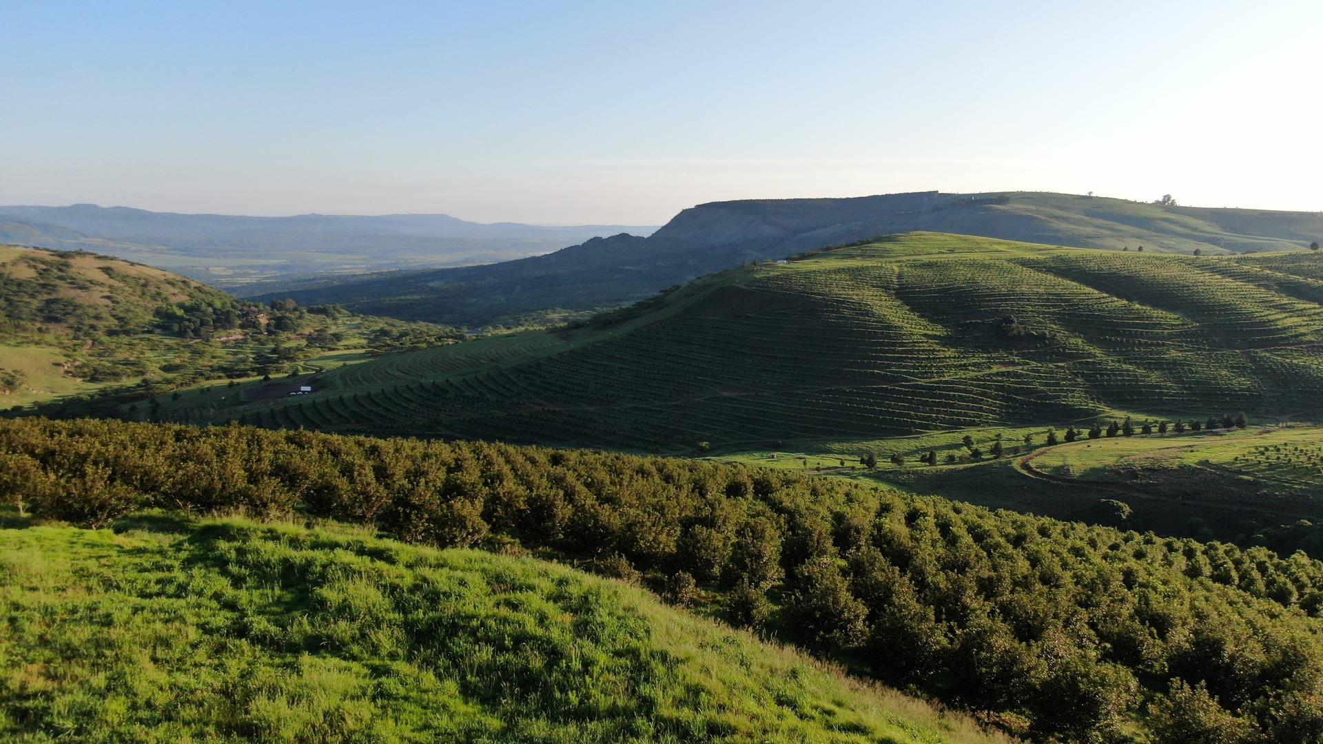 Farm for sale in Mount Verde Farm 26 Of The Farms P24113657281