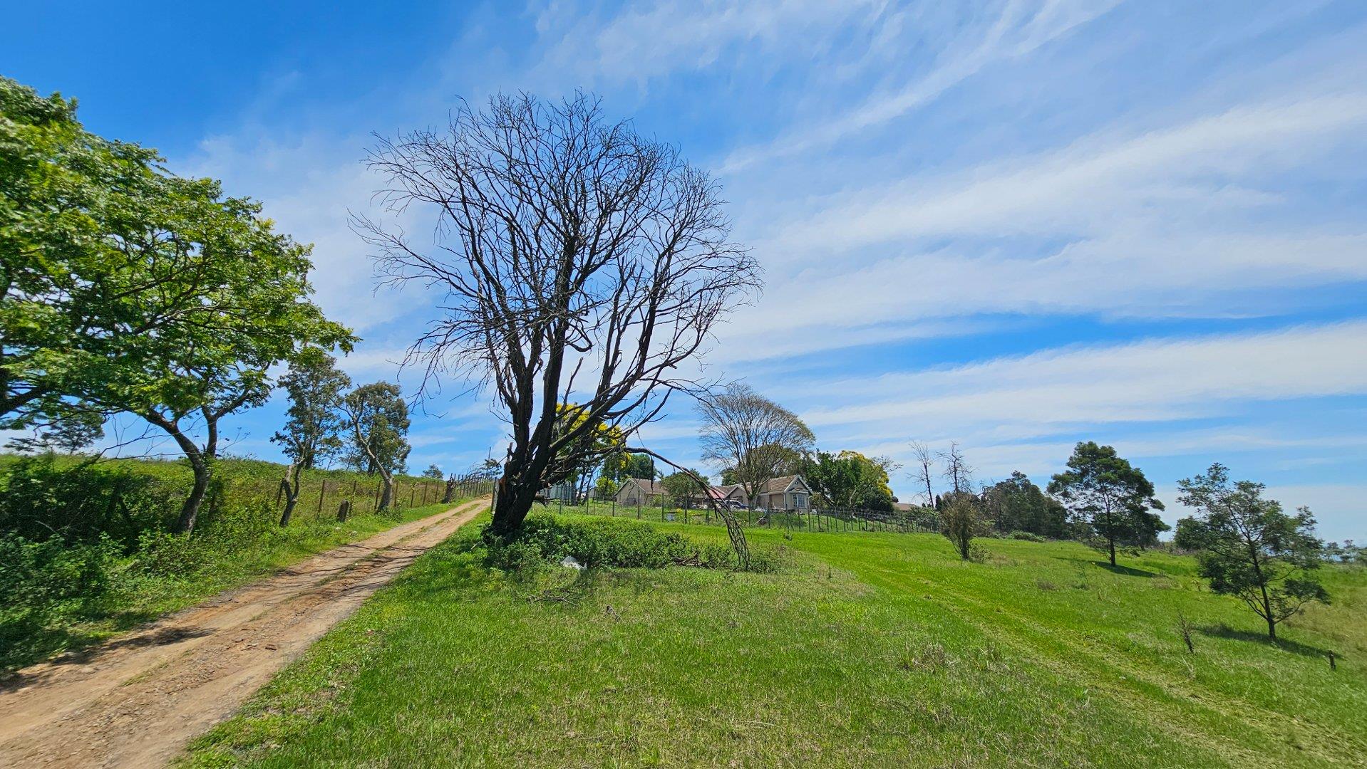 Farm for sale in Pietermaritzburg Rural P24113664977