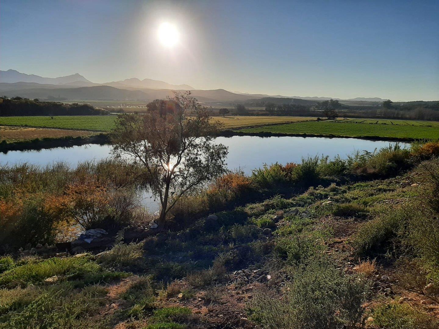 Klein Karoo Property Farm for sale in Klein Karoo Page 4