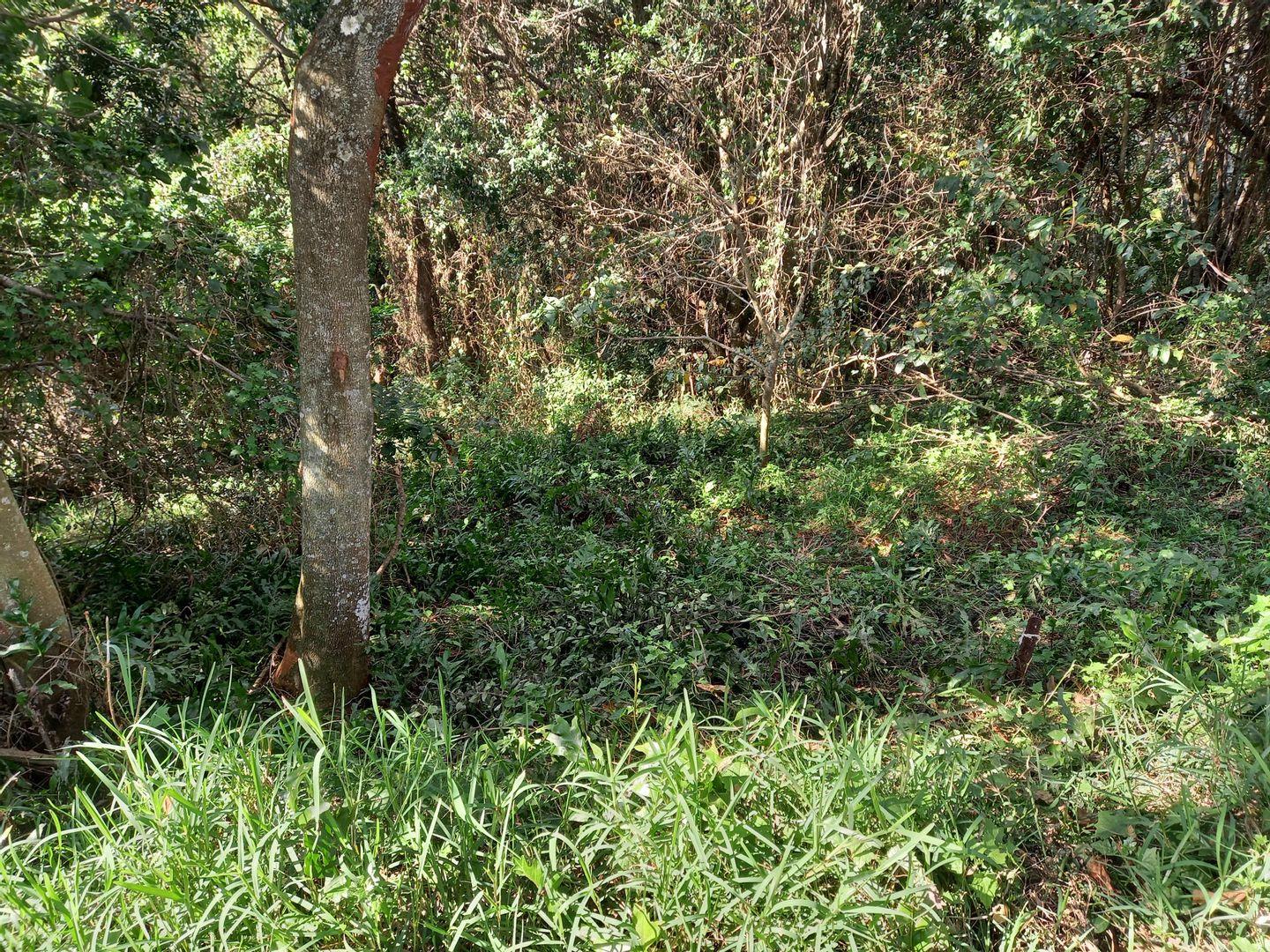 Prince's Grant Golf Estate Property Property and houses for sale in