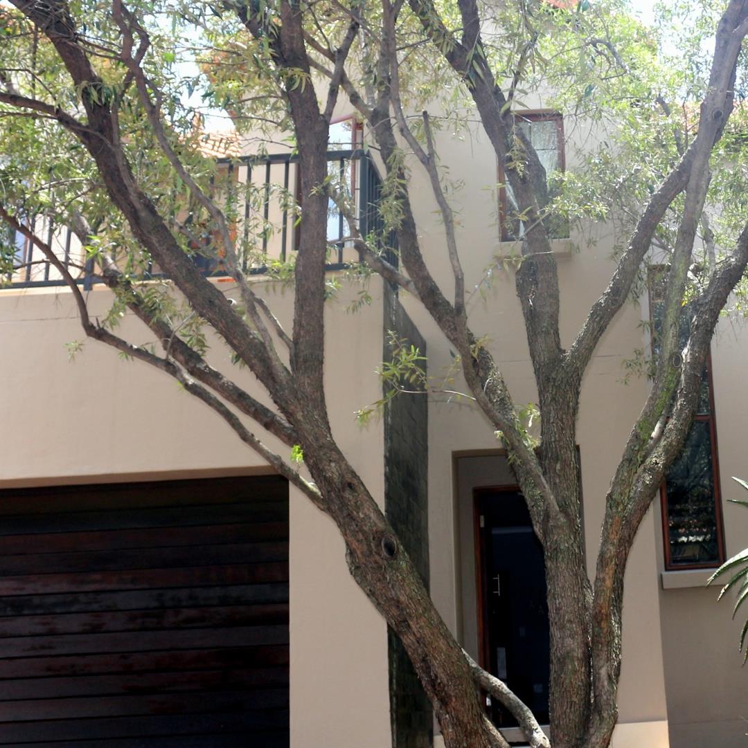 3 Bedroom House for sale in Menlo Park P24113676638