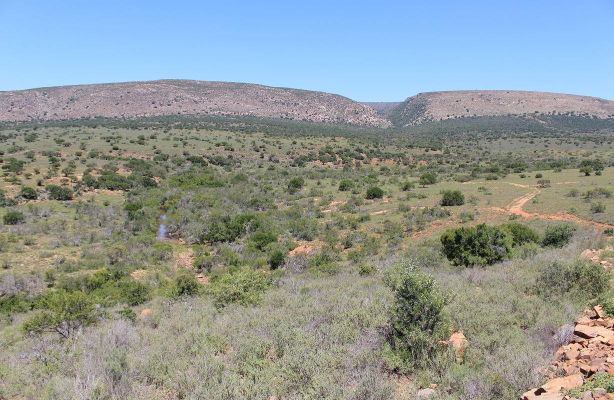 Farm for sale in Somerset East Rural P24113689897