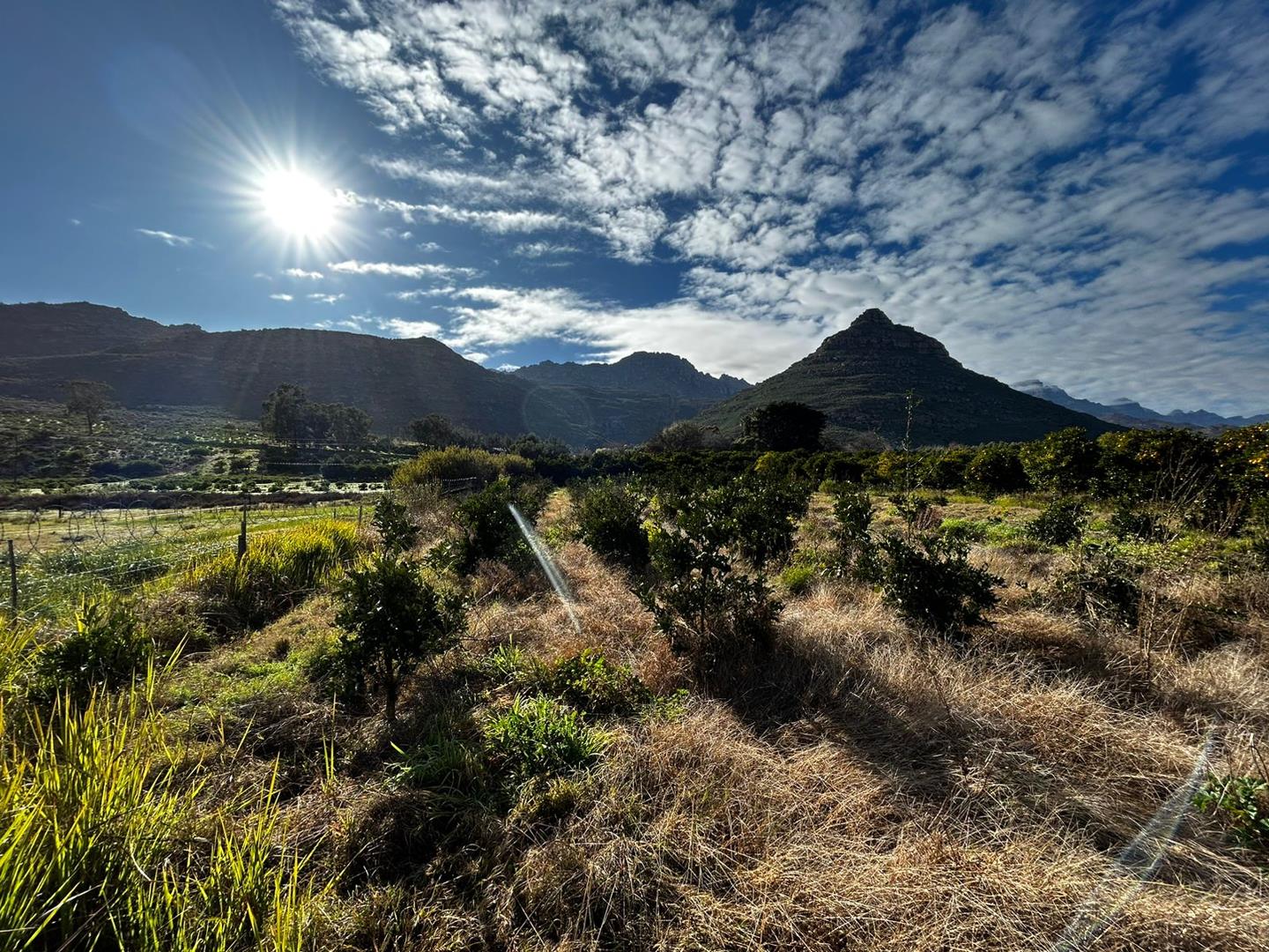 Farm for sale in Clanwilliam Rural P24113689913