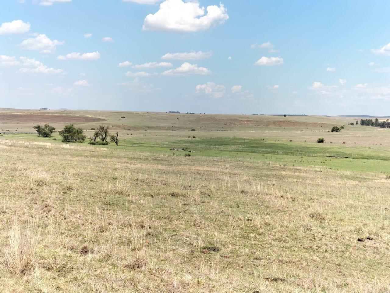 Farm for sale in Frankfort Rural P24113694578