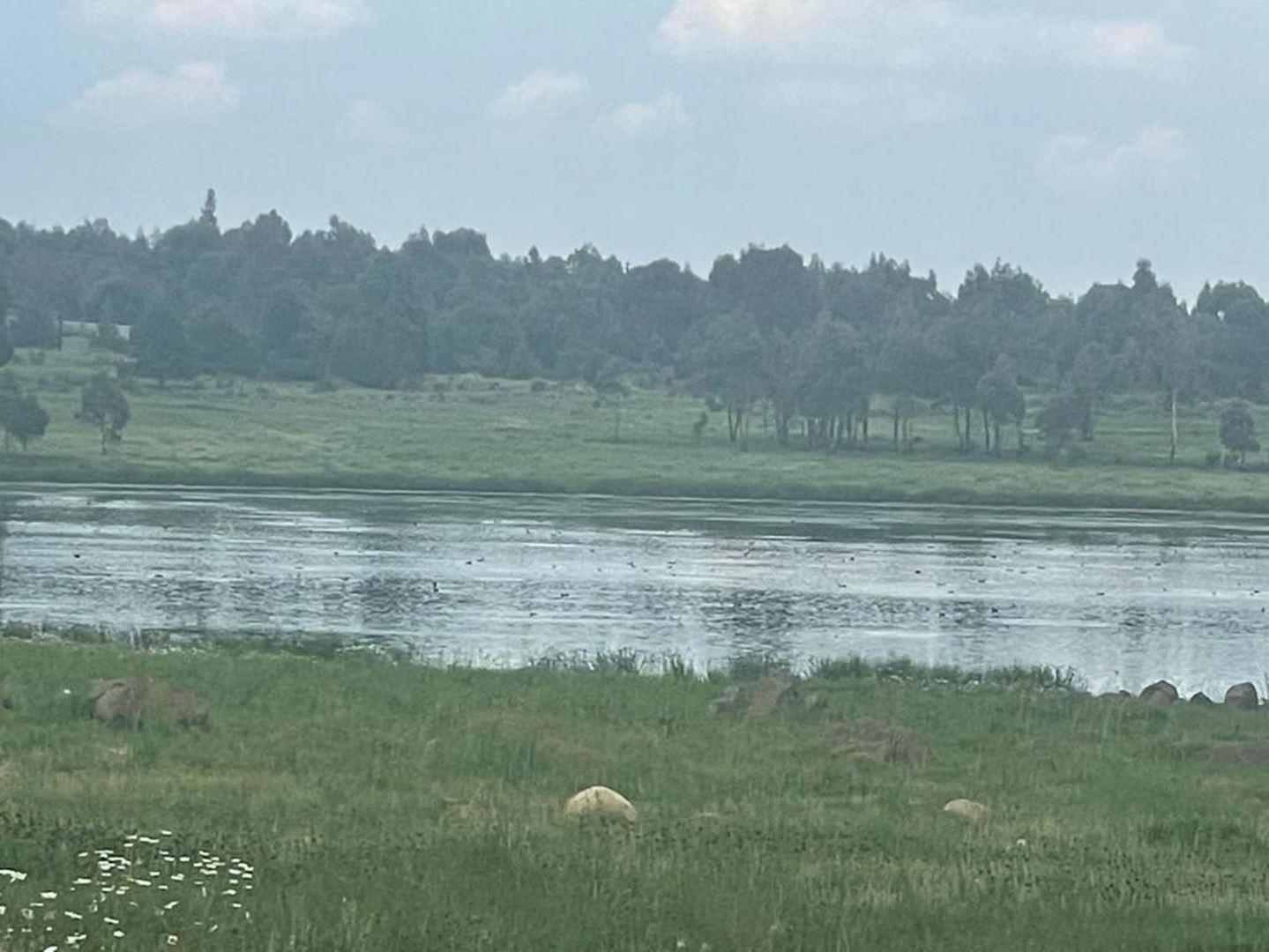 Vacant land / plots for sale in Belfast Belfast Property