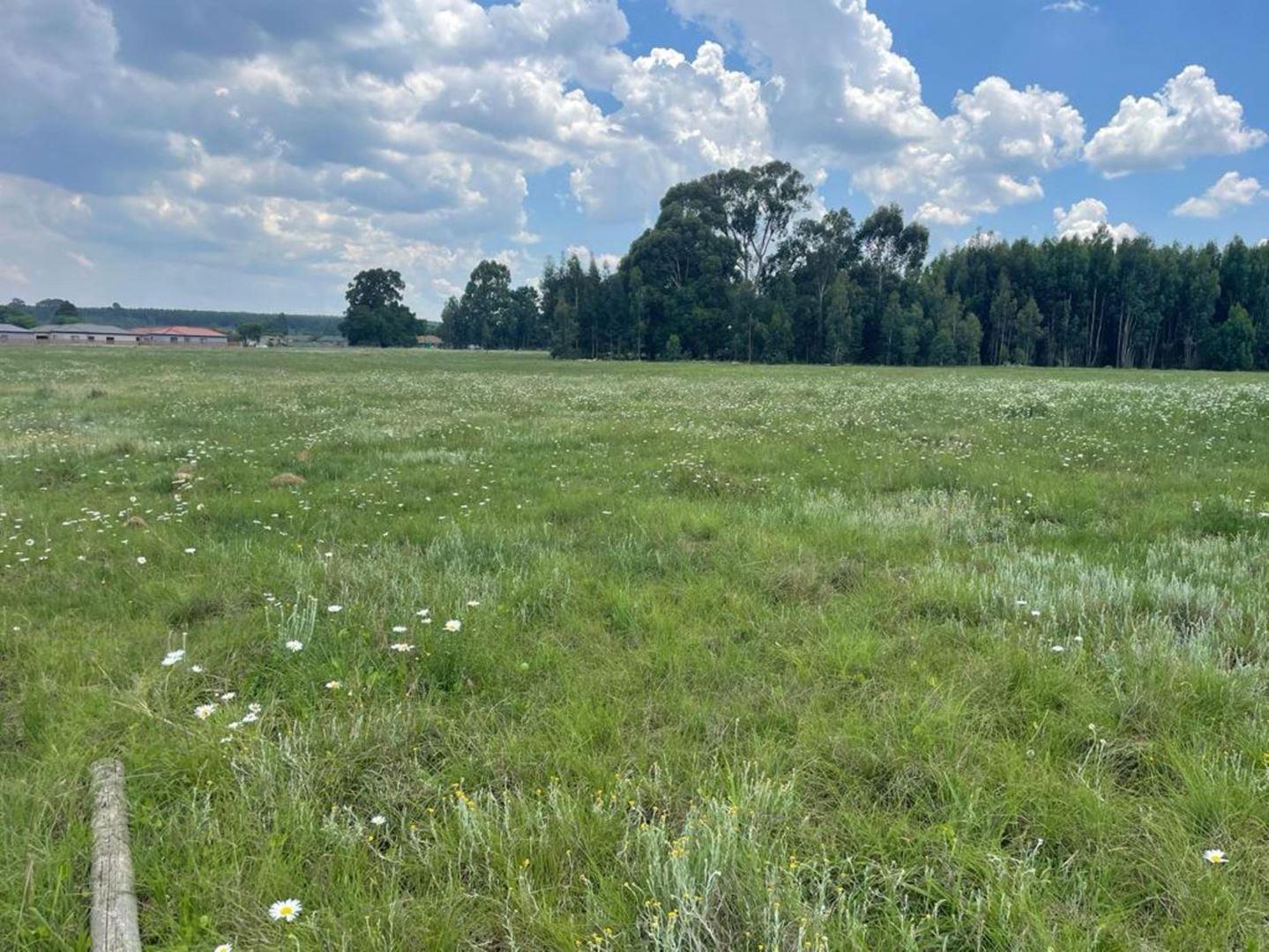 Vacant land / plot for sale in Belfast P24113695816