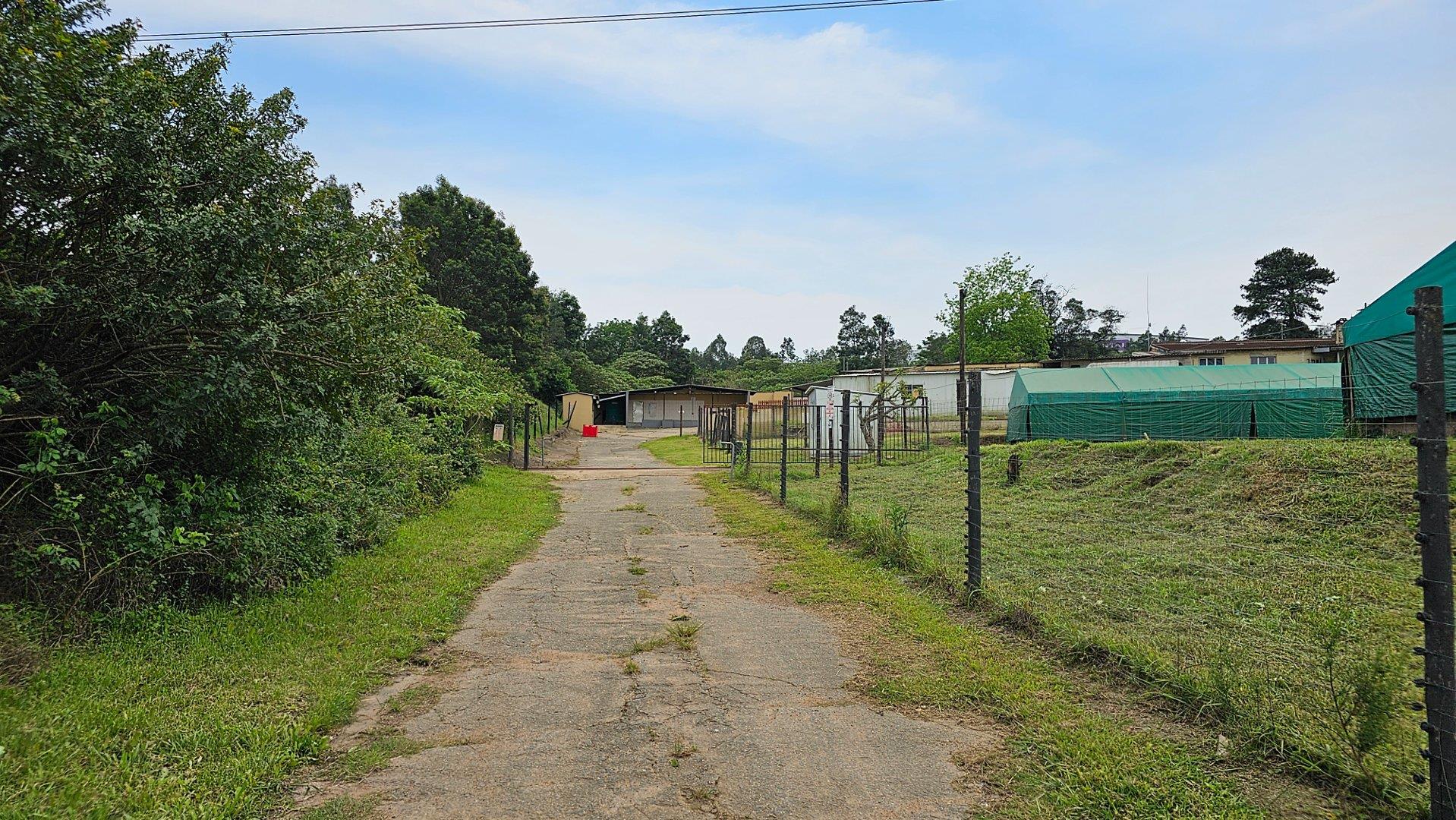 Farm for sale in Cato Ridge Re Of Ptn 124 (ptn 31) Farm 852 (chicken