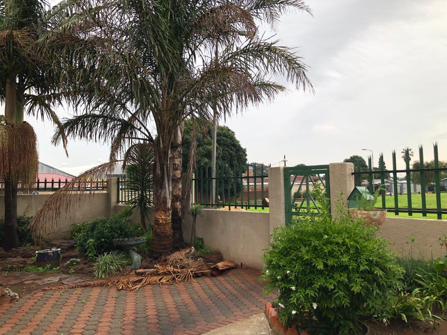 3 Bedroom House to rent in Martindale P24113700332