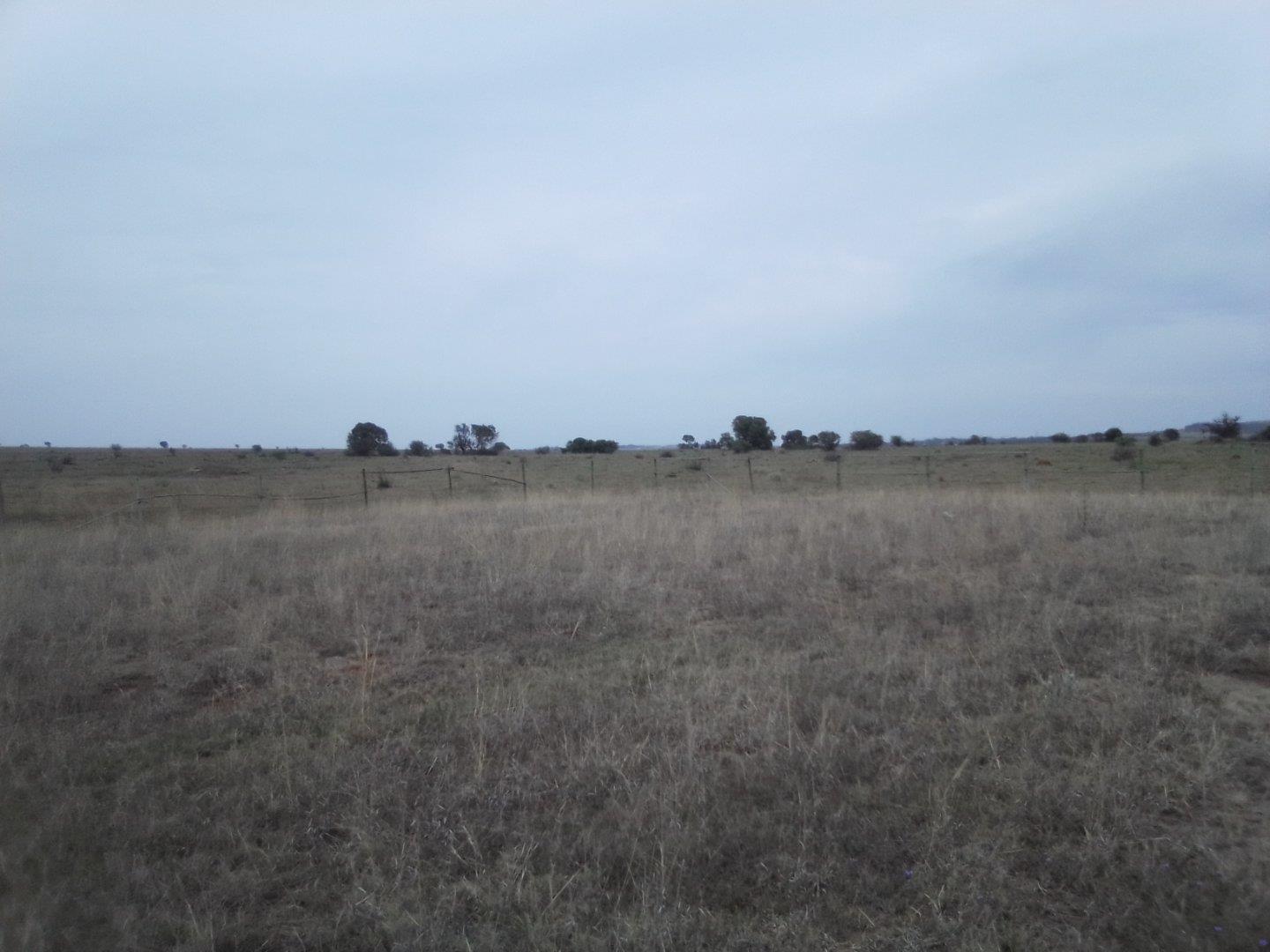 Erasmia Property Property and houses to rent in Erasmia Property24