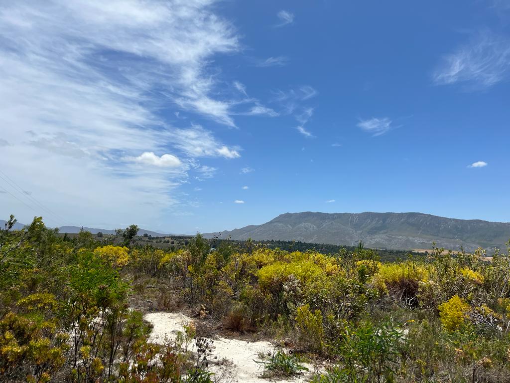 Overberg Property Farm for sale in Overberg Page 7