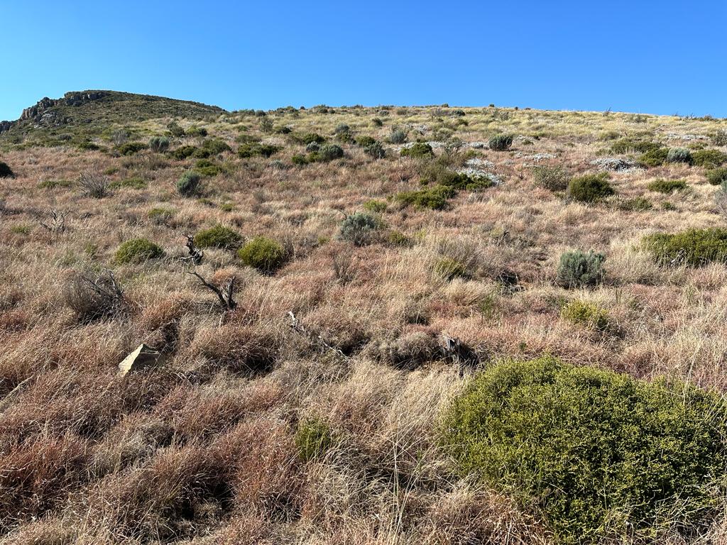 Property for sale in Eastern Cape Farms for sale in Eastern Cape