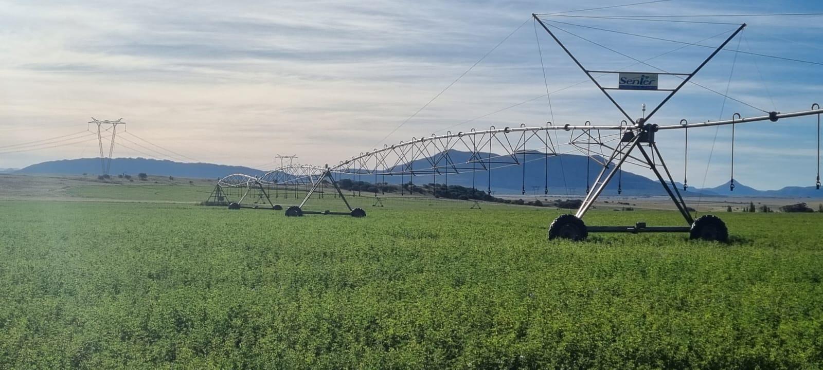 Queenstown Rural Property Property and houses for sale in Queenstown