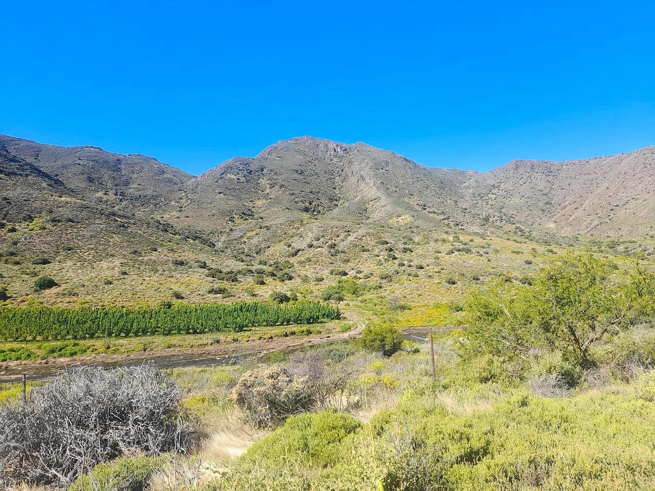 Farm for sale in Montagu Rural P24113714519