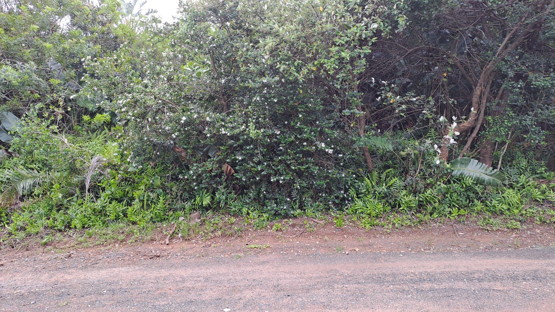 Vacant land / plot for sale in Glenmore P24113715261