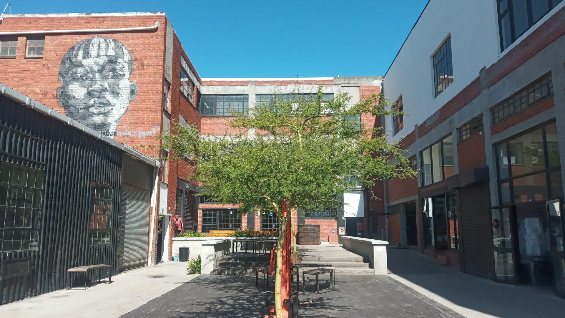 Southern Suburbs Property Houses to rent in Southern Suburbs