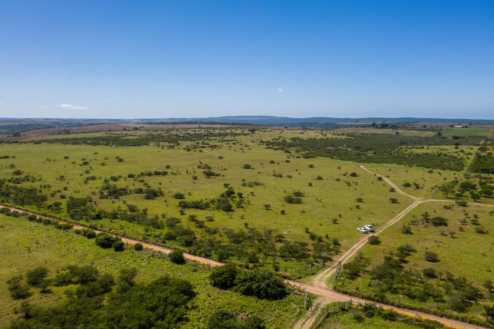 Bathurst Rural Property Property and houses for sale in Bathurst