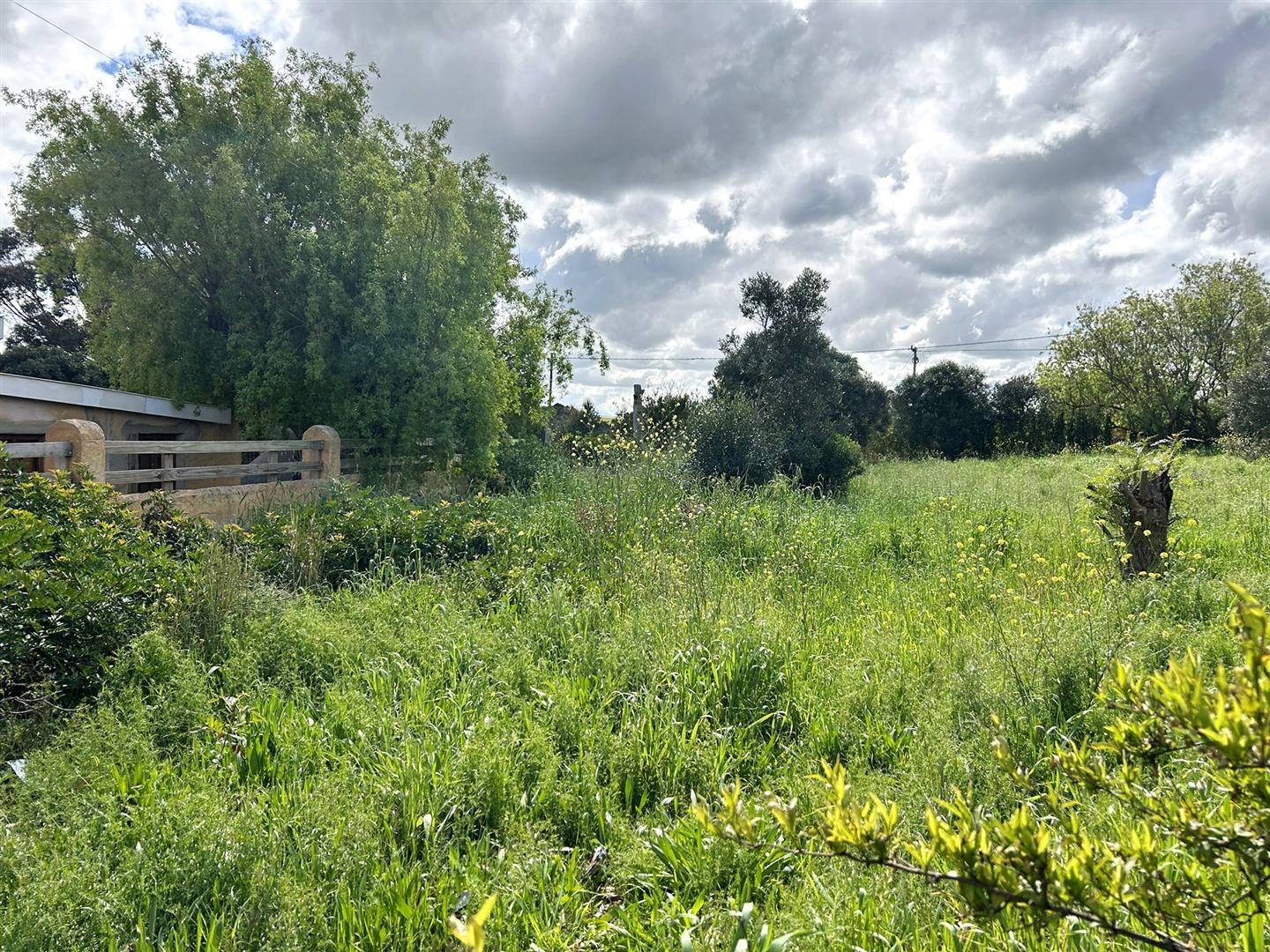 Vacant land / plot for sale in Napier P24113254843