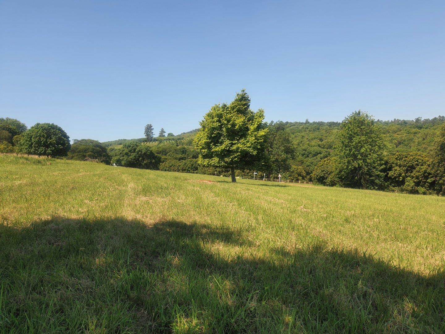 Property for sale in Limpopo Vacant land / plots for sale in Limpopo