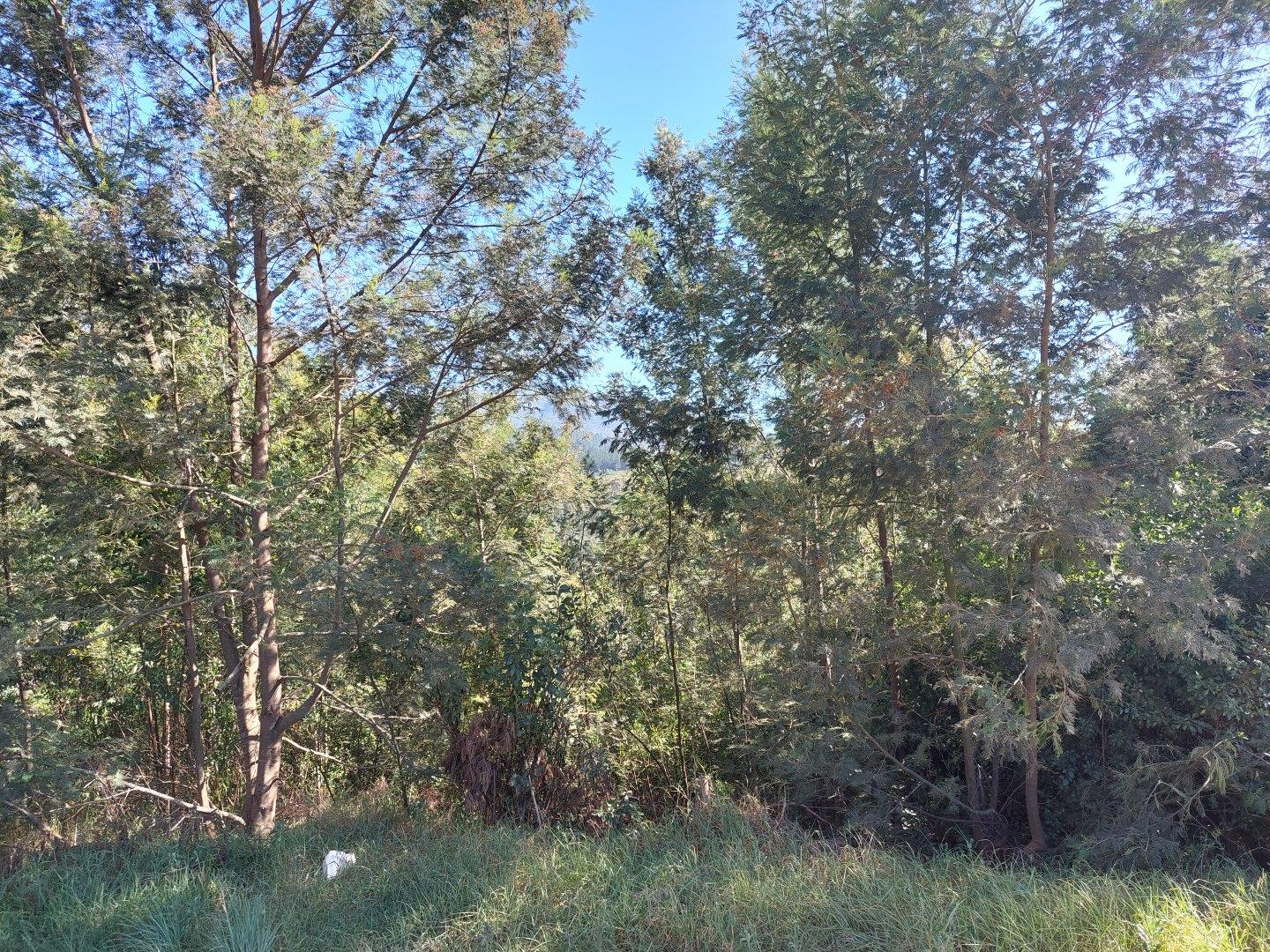 Vacant land / plot for sale in Friemersheim P24114329495