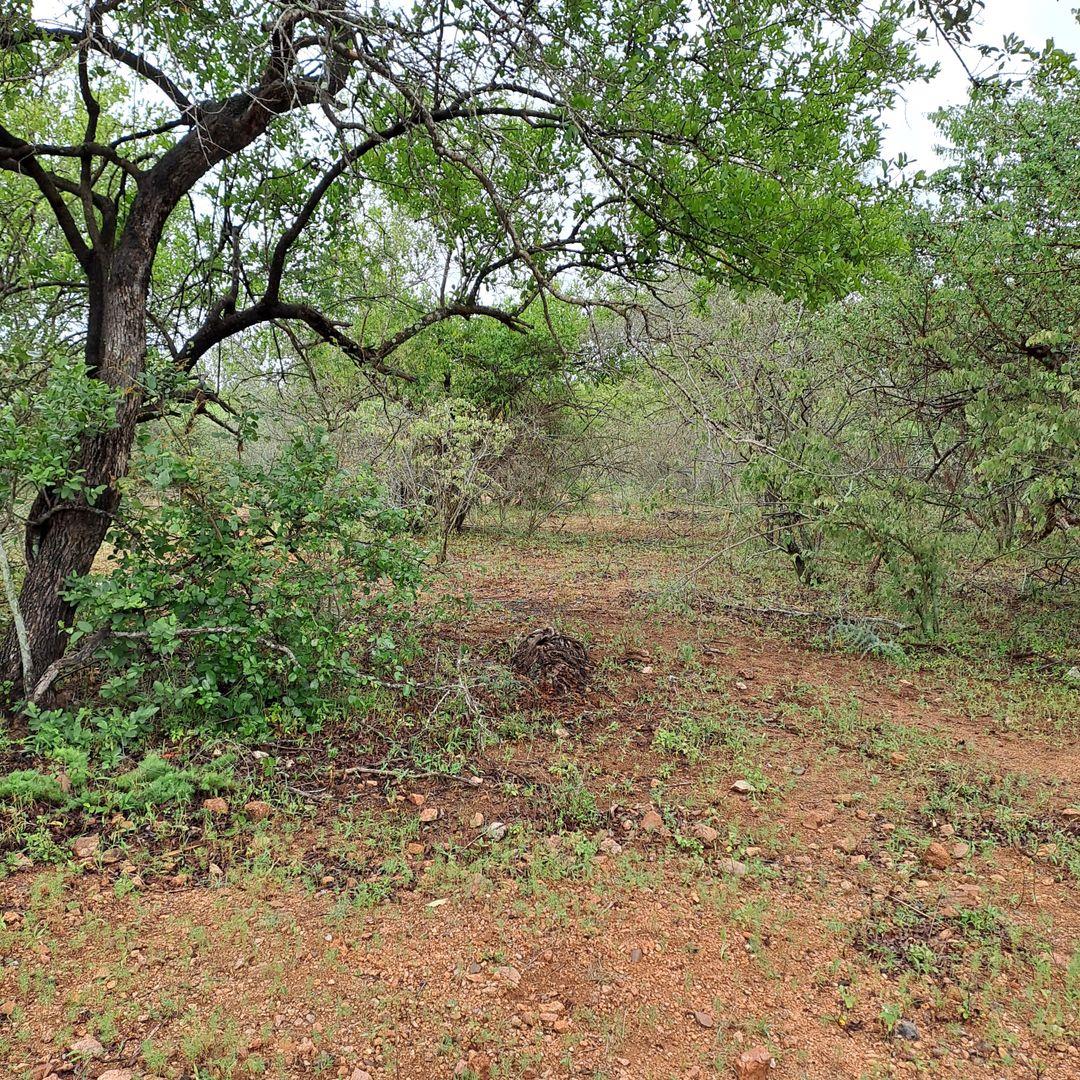 Vacant land / plot for sale in Marloth Park P24113743839