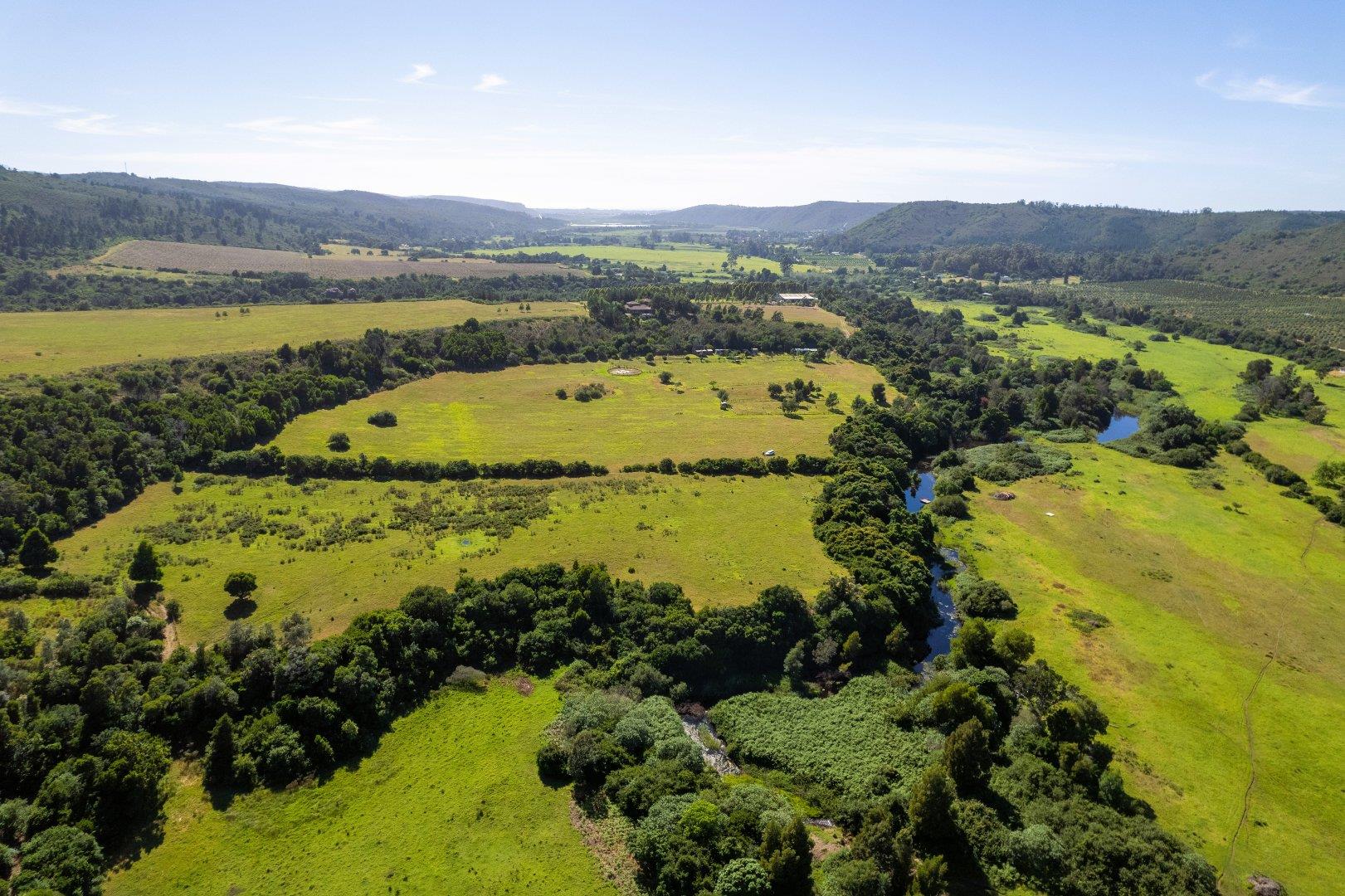 Plettenberg Bay Rural Property Property and houses for sale in