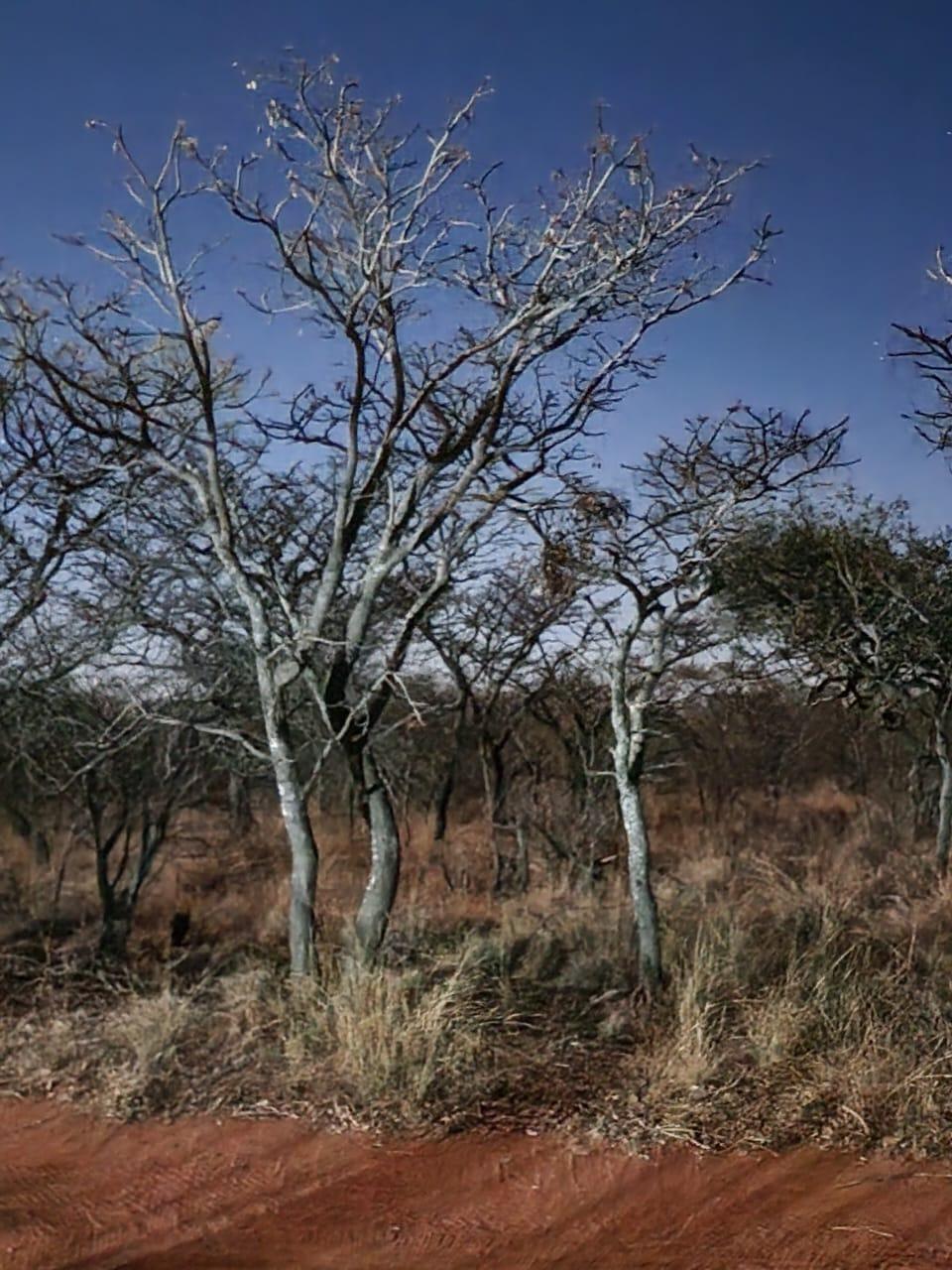 Property for sale in Limpopo Vacant land / plots for sale in Limpopo Page 4