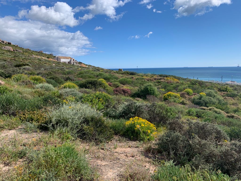 Vacant land / plots for sale in St Helena Bay St Helena Bay Property