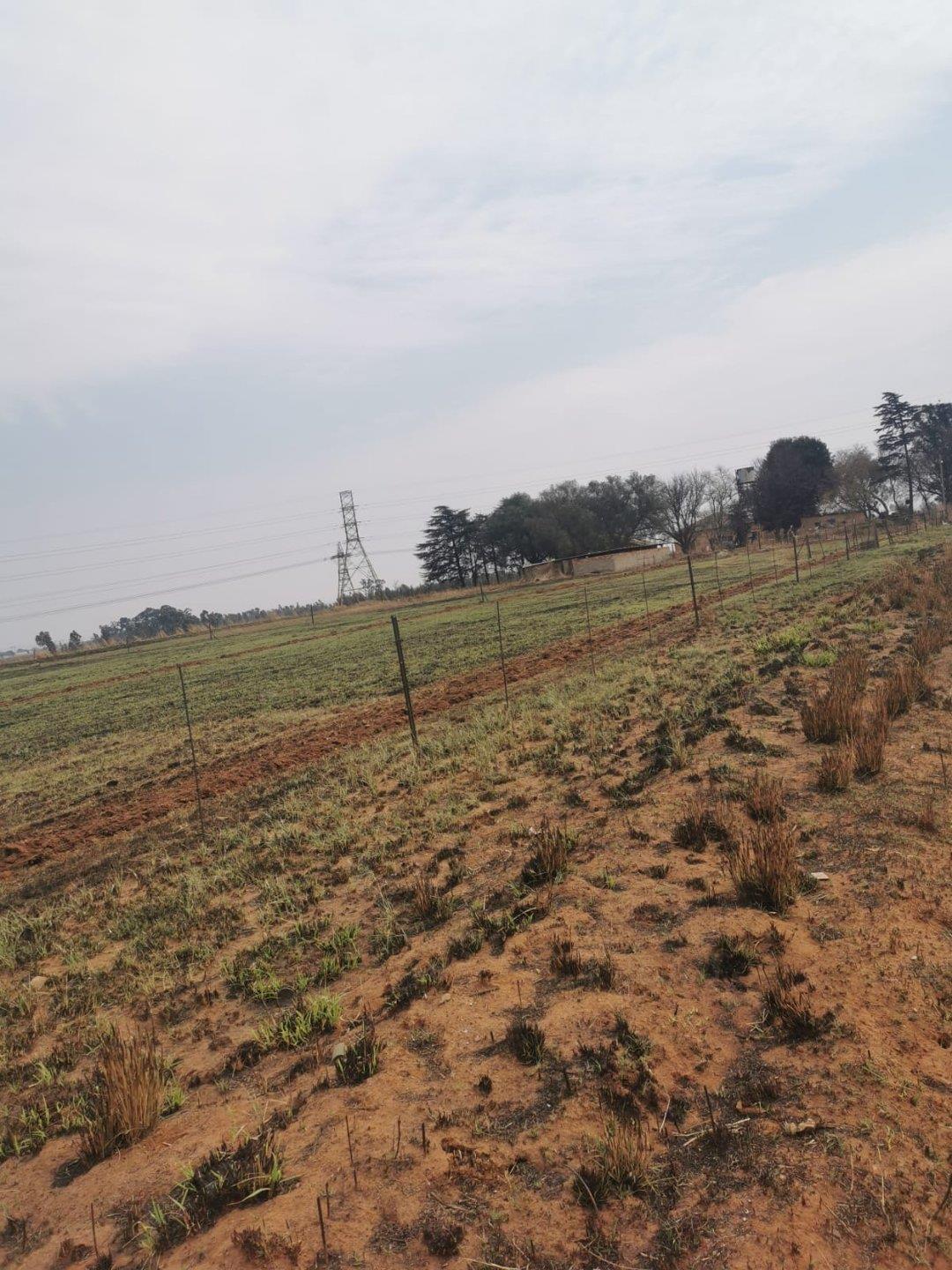 Farms for sale in Delmas Delmas Property