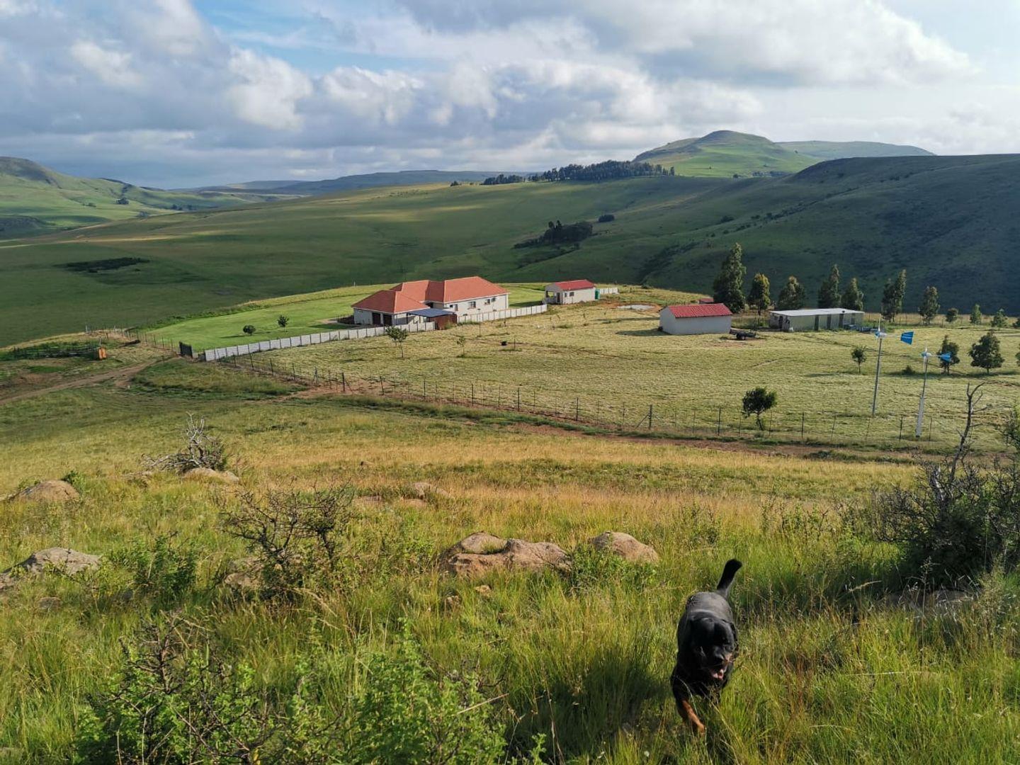 Farms for sale in Newcastle Newcastle Property