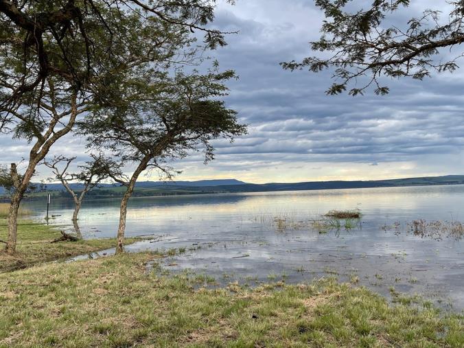 Farm for Sale in Albert Falls