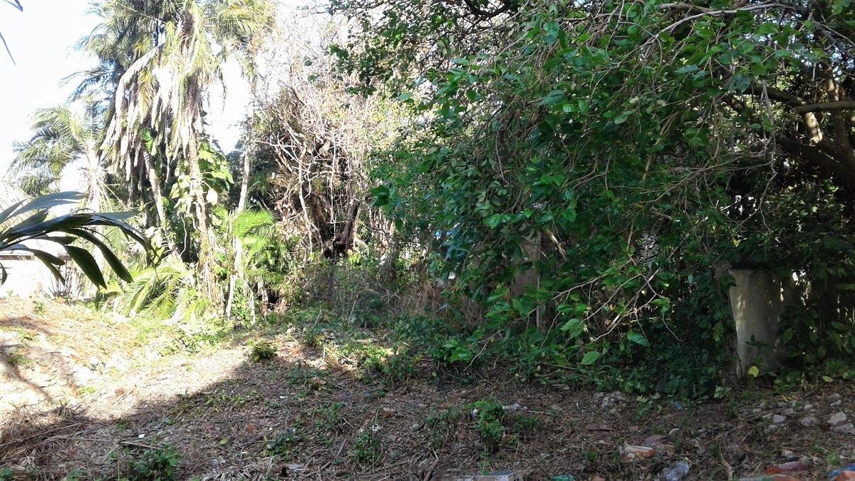 Vacant land / plot for sale in Scottburgh South 12 Ann Arbor Road