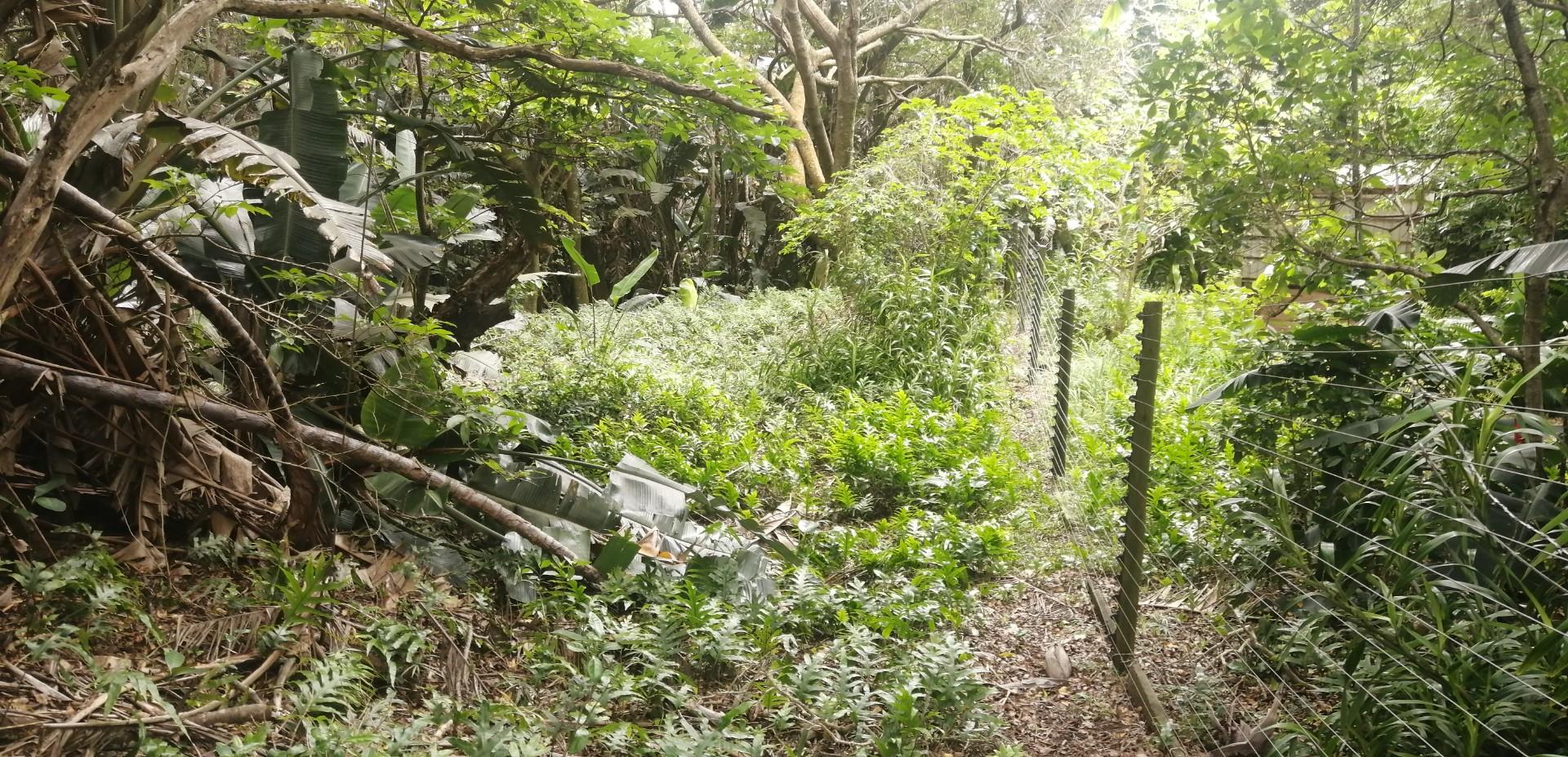 Kzn South Coast Property Vacant land / plot for sale in Kzn South