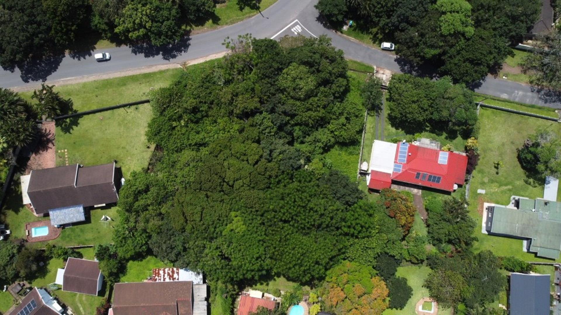 Vacant land / plot for sale in Pennington 13 Pennington Drive P24