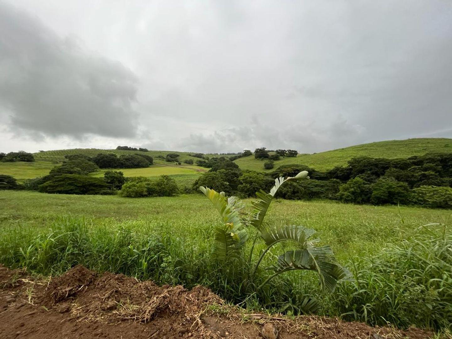 Fairview Estates Property Property and houses for sale in Fairview